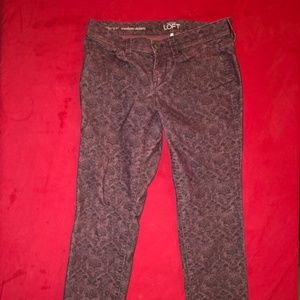 Ann Taylor Loft Maroon Lace Printed Jeans